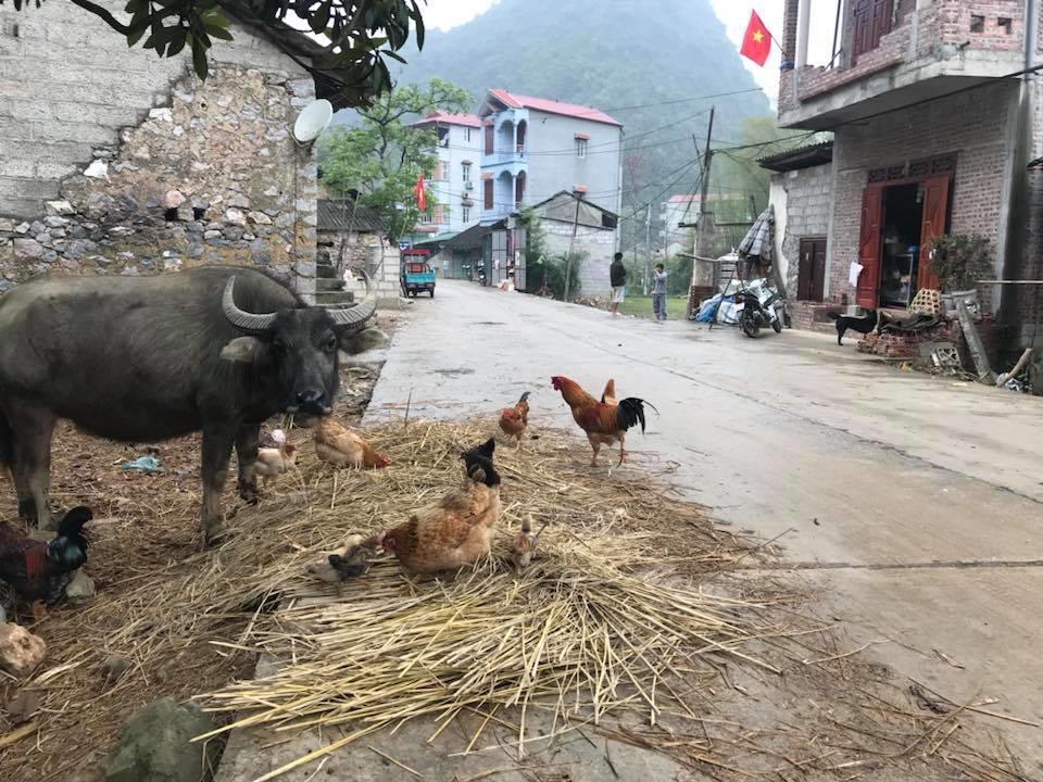 A Sy Ban Gioc Homestay - Lang Da Khuoi Ky Cao Bang Eksteriør bilde